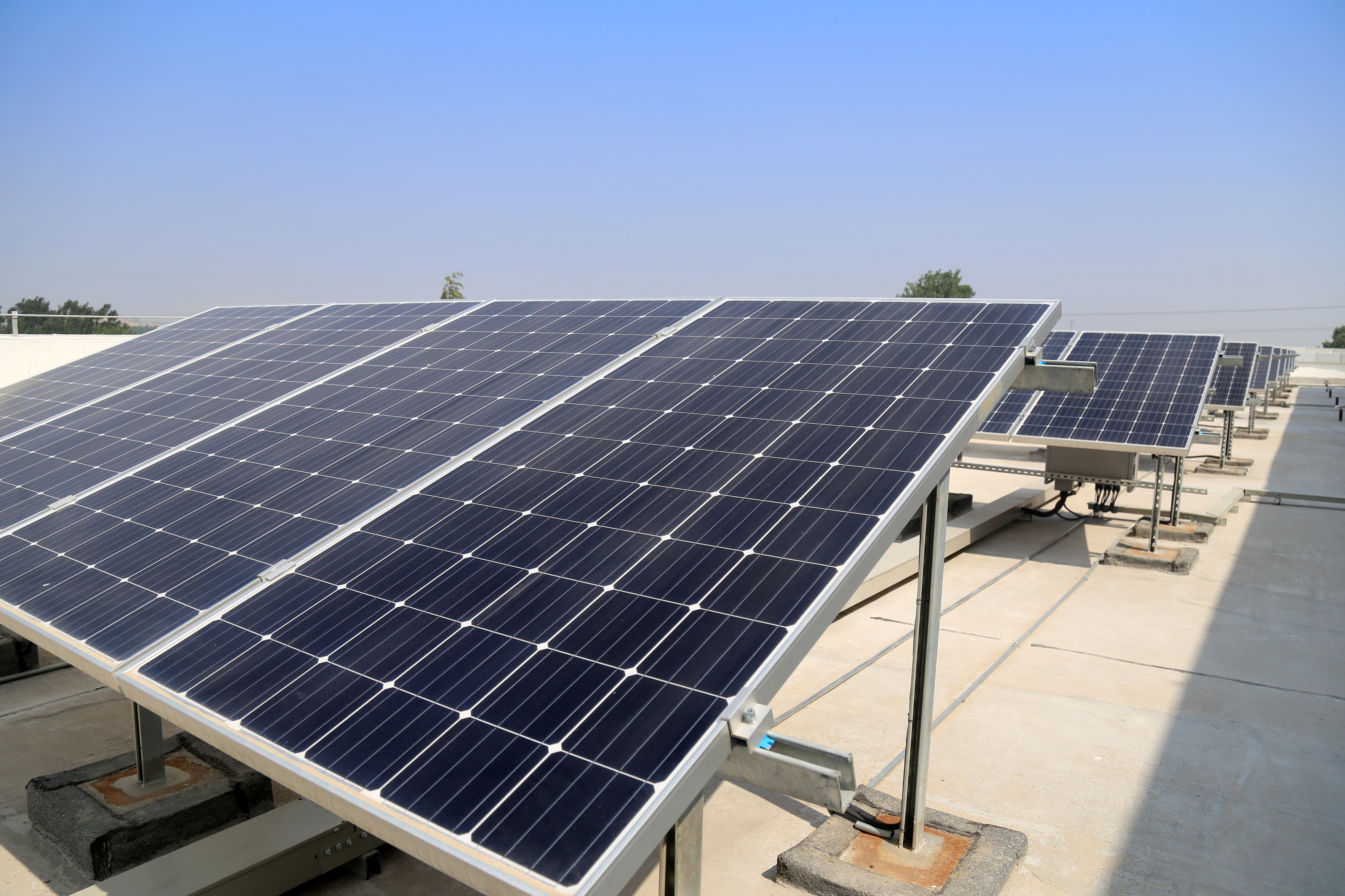 Society Solar